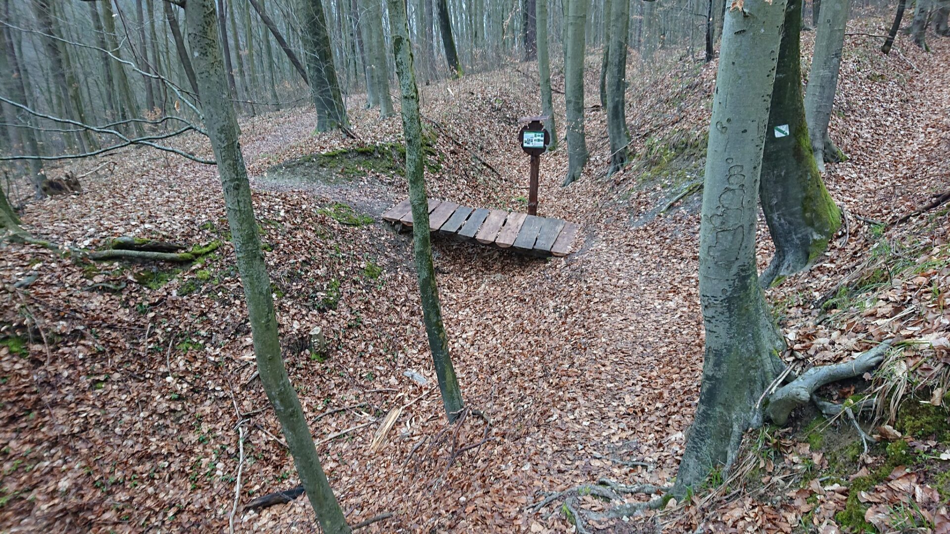 META/Košice-Mesto Košice