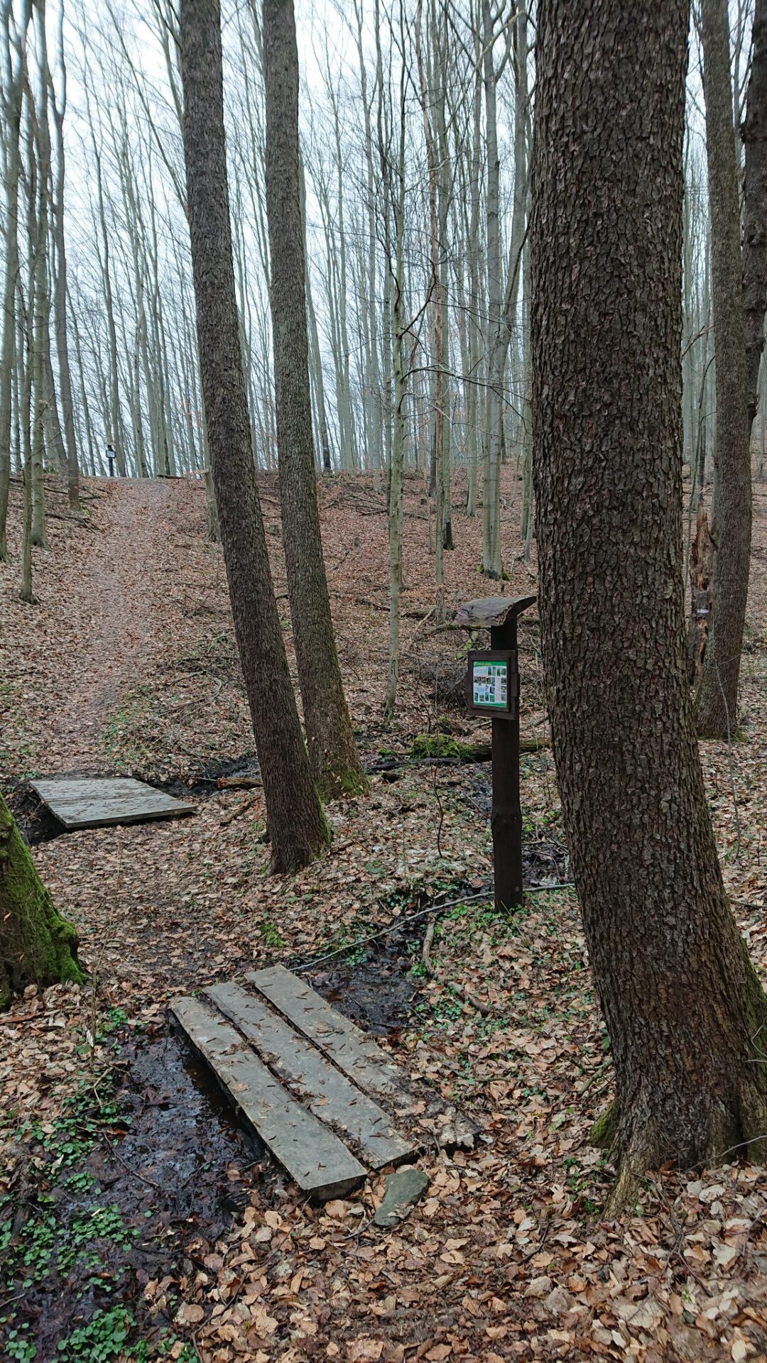 META/Košice-Mesto Košice
