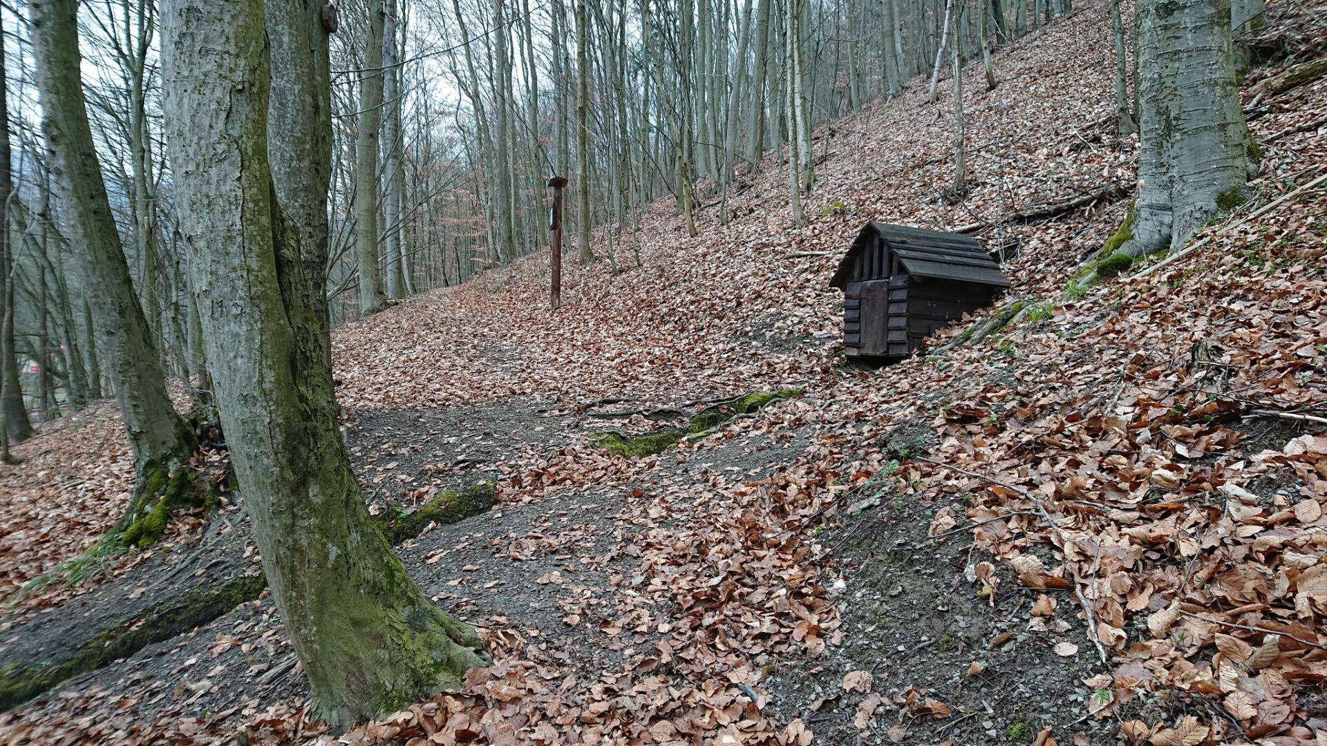 META/Košice-Mesto Košice