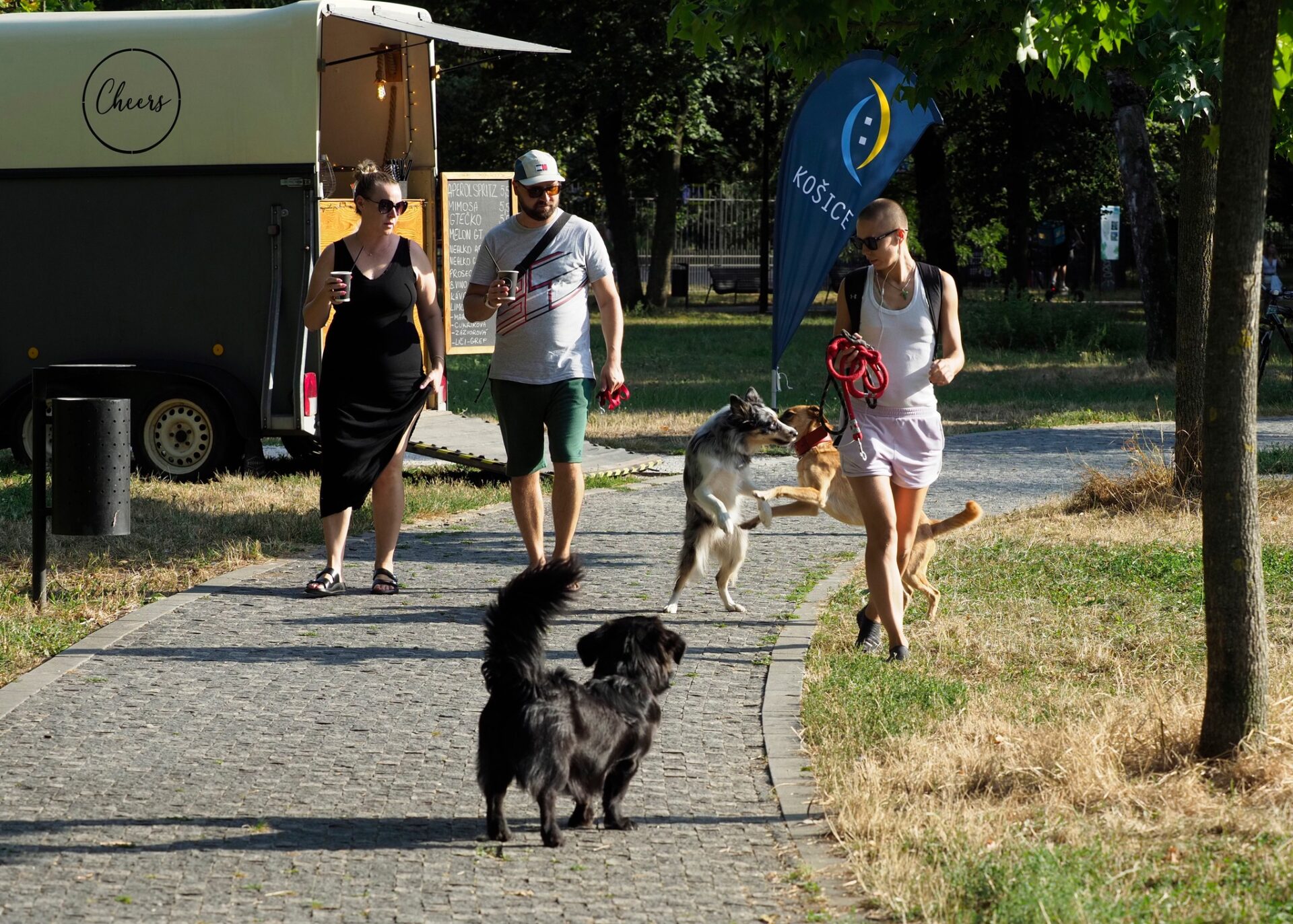 Zdroj: Meta/ Košice - Mesto Košice