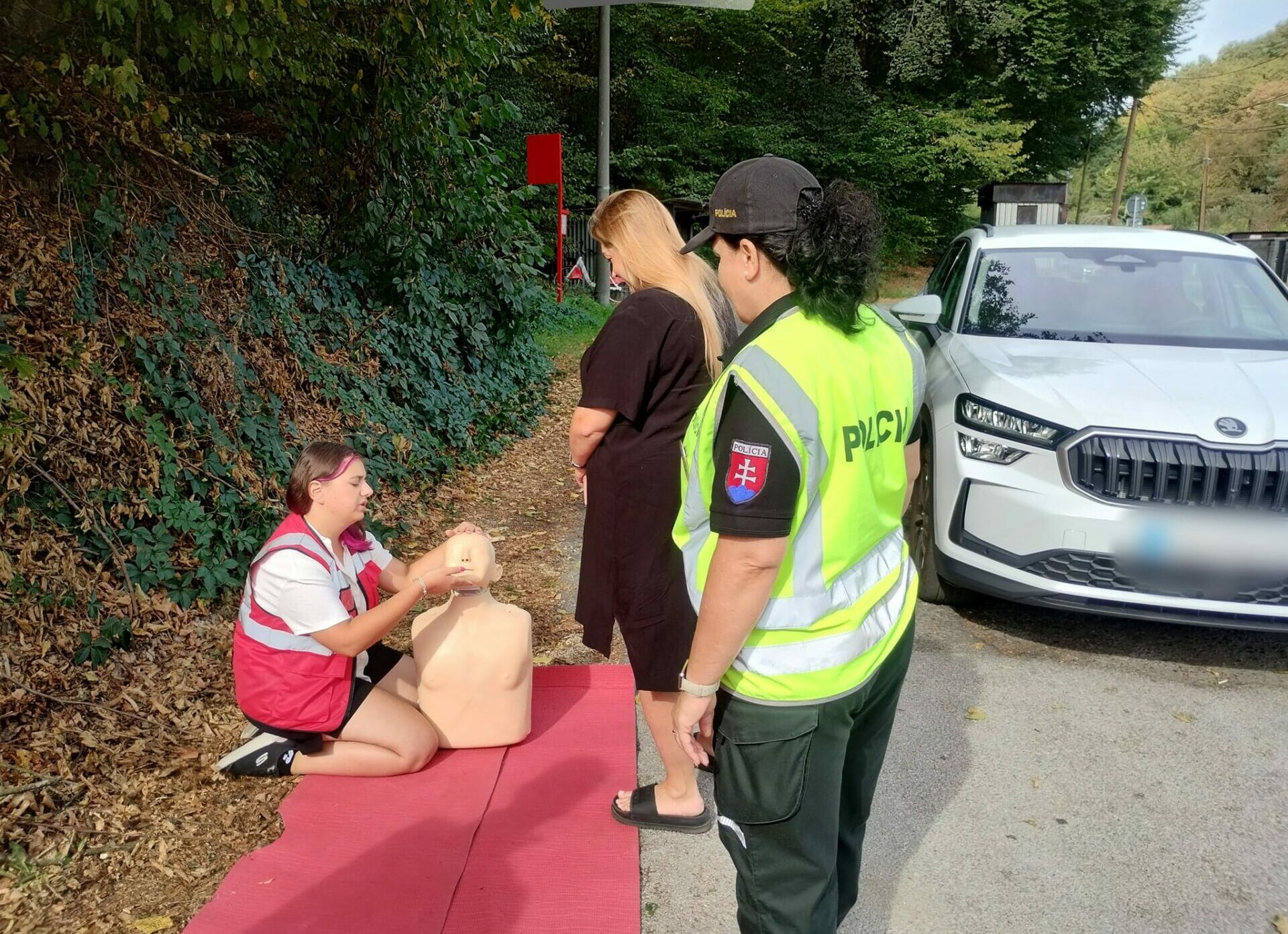 Zdroj:META/Polícia SR - Košický kraj