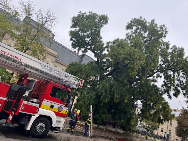 Zdroj: META/Východoslovenské múzeum v Košiciach