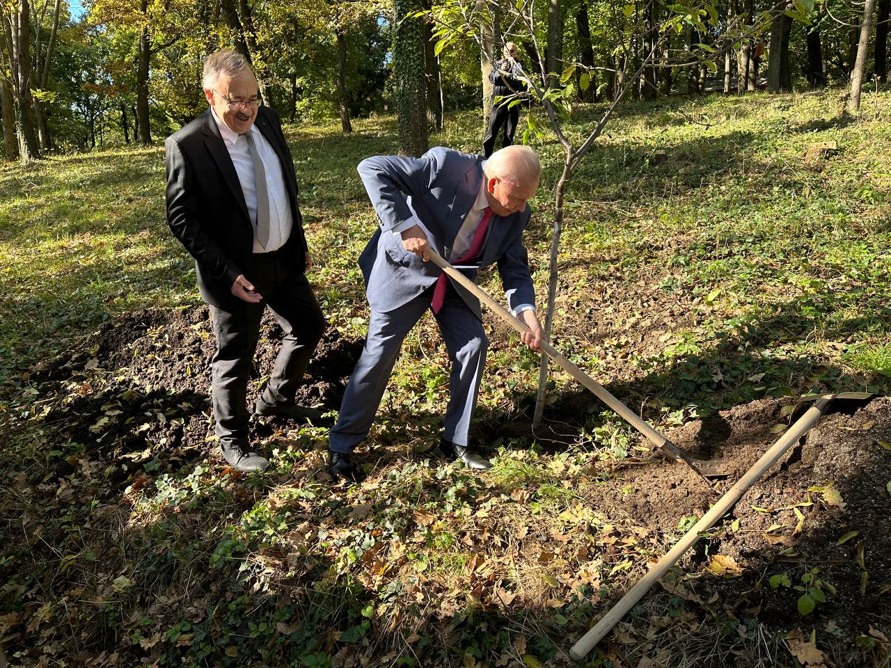 Foto: Martin Šoman, K:D