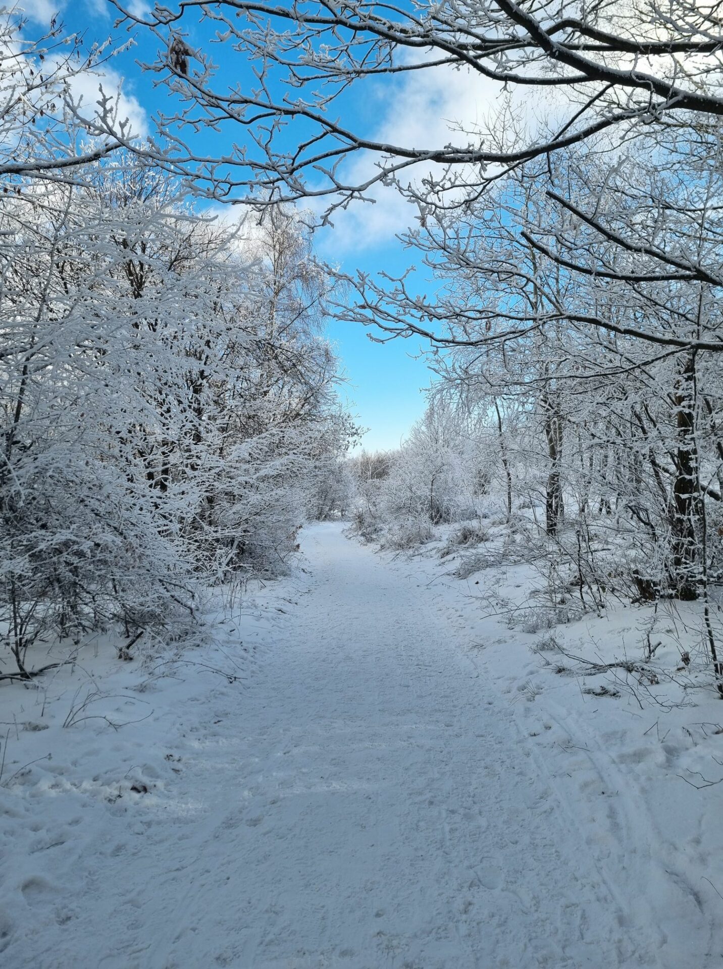 Zdroj: Čitateľka Denisa