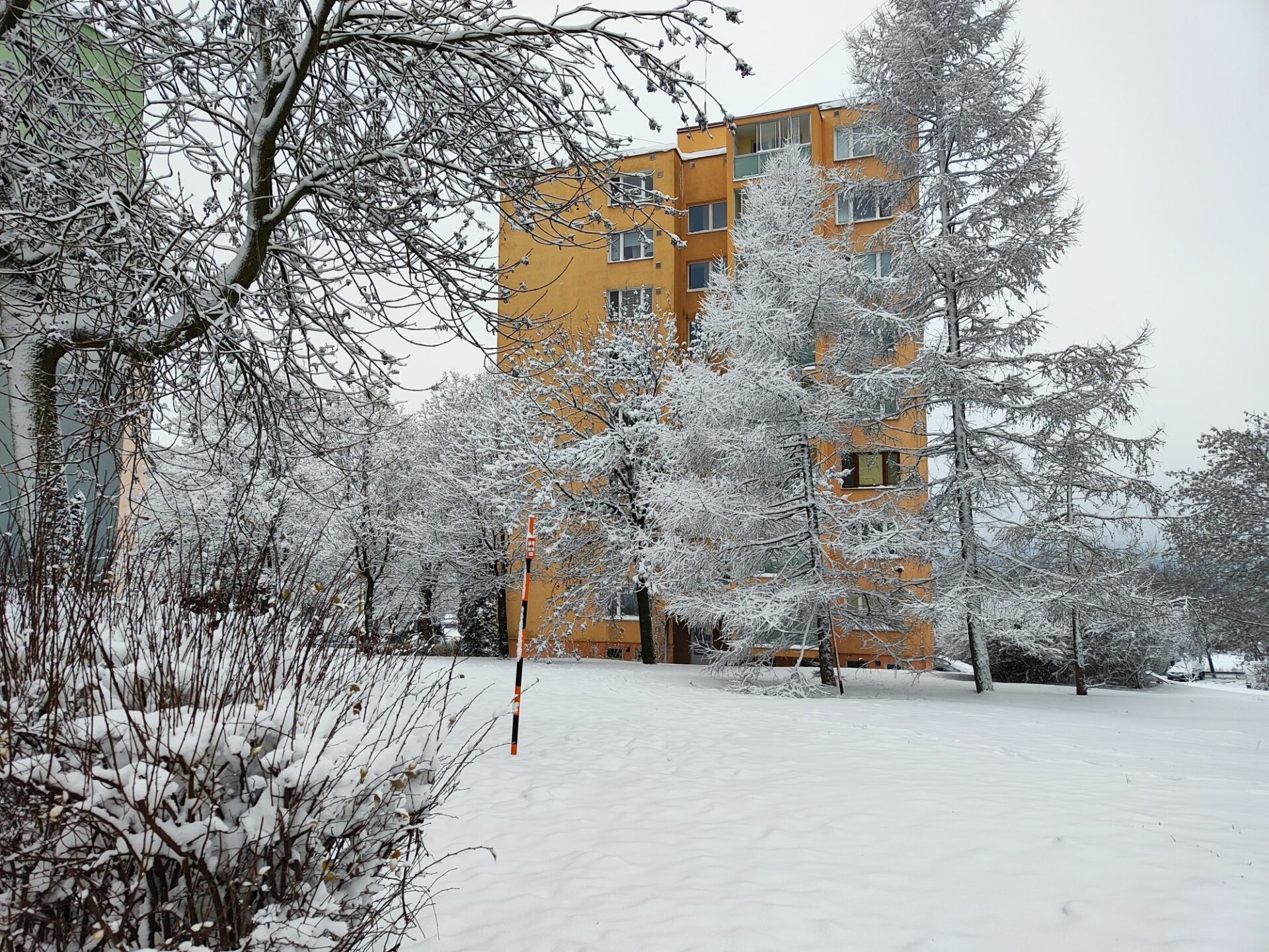 Zdroj: Čitateľka Katarína