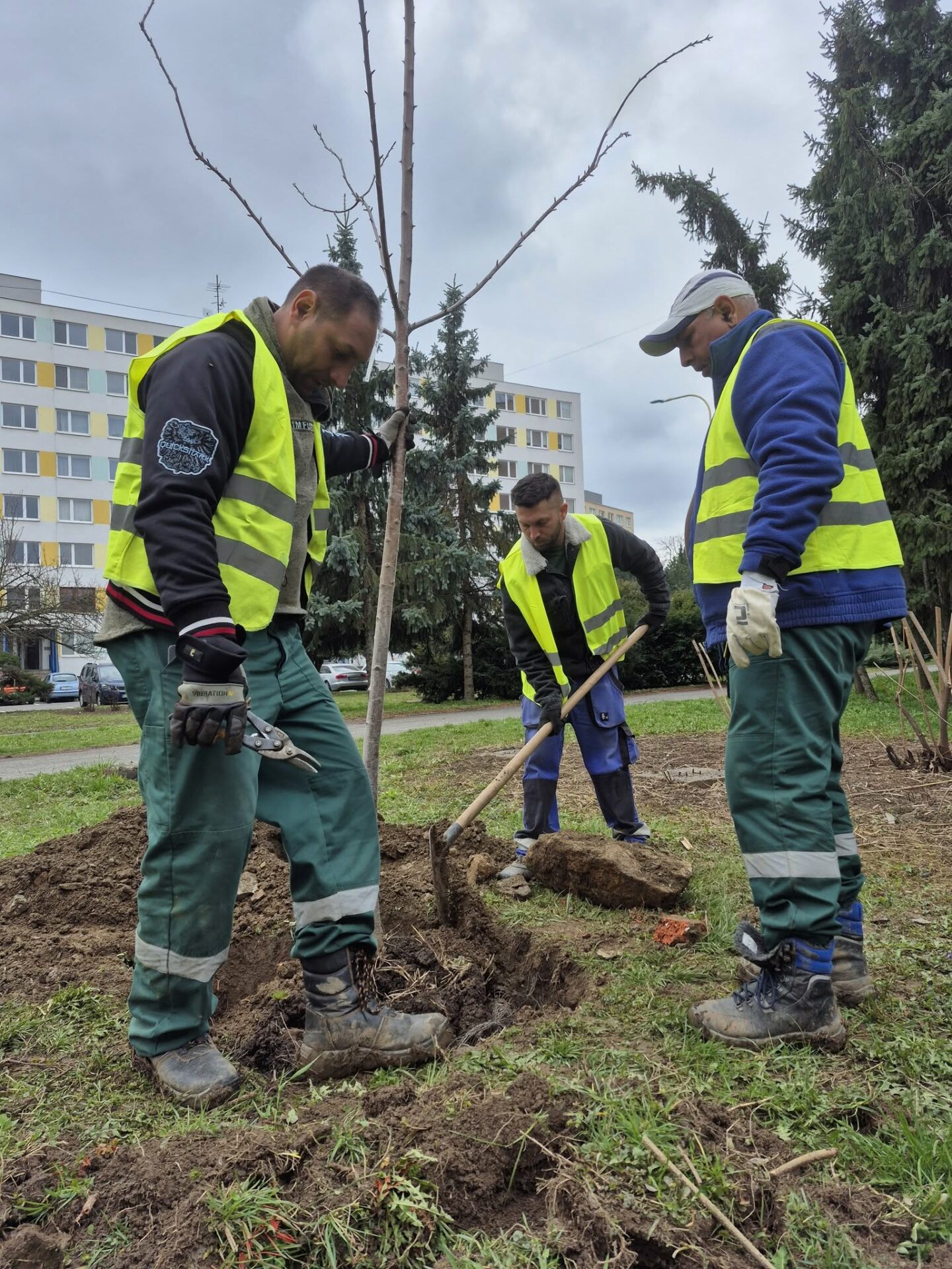 Zdroj: META/ Správa mestskej zelene v Košiciach