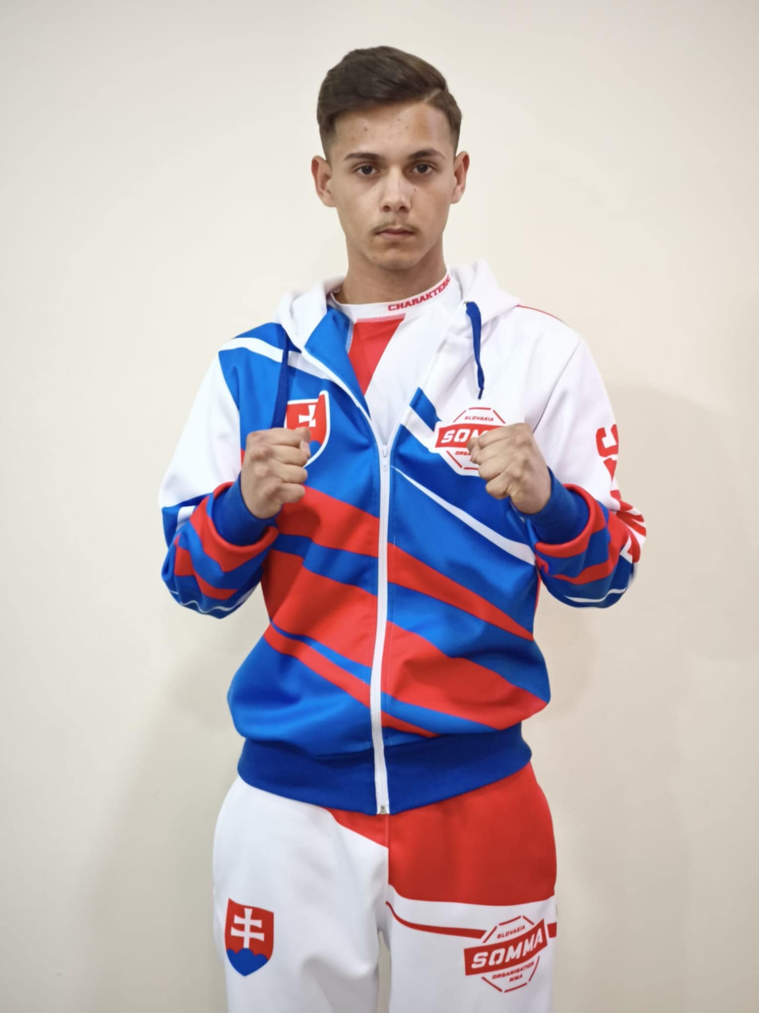 Obrázok galérie