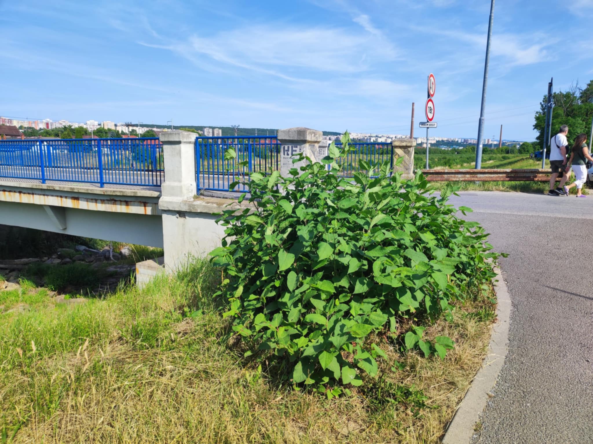 M.I. KOŠICE: DNES