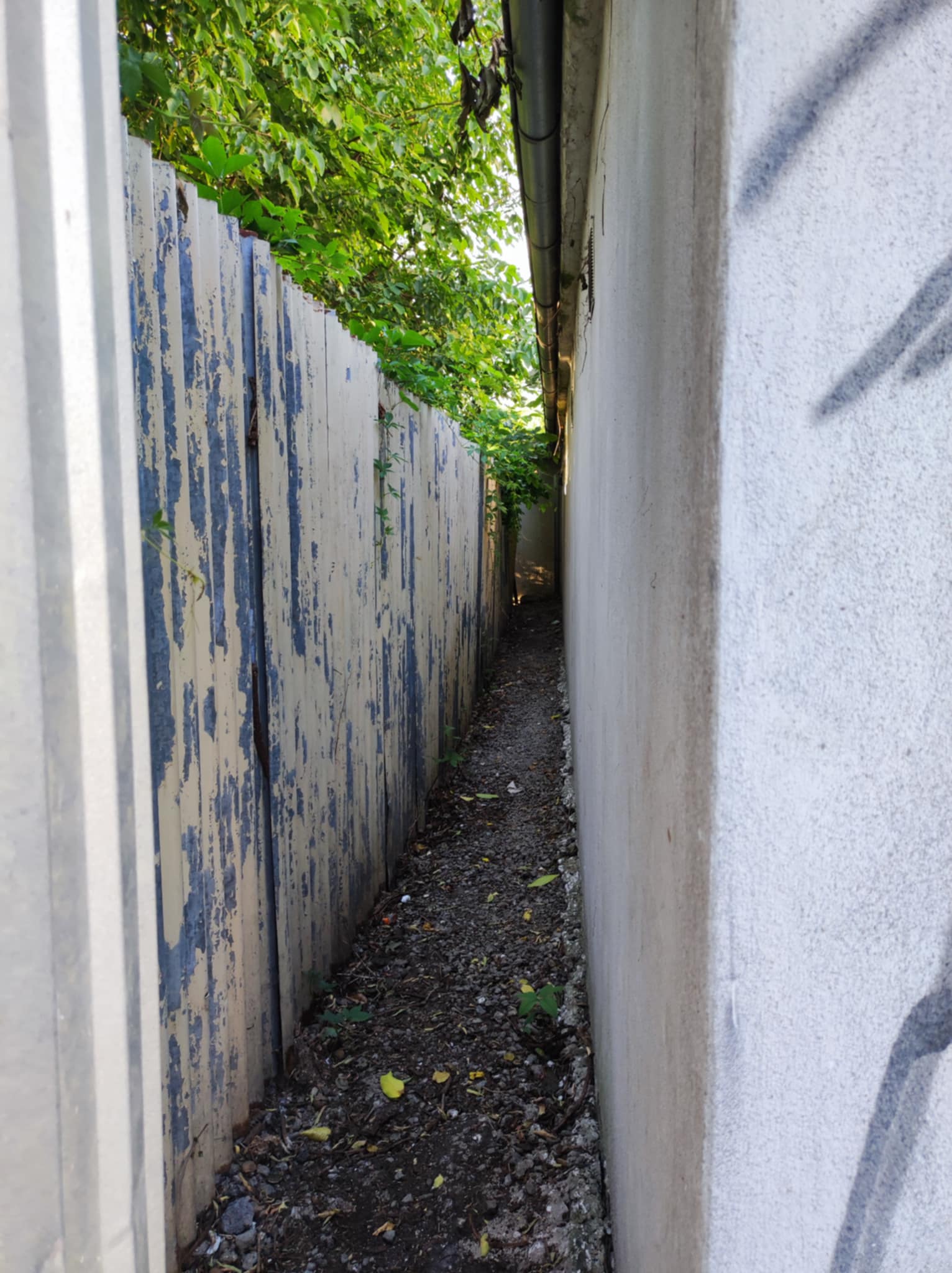 Zdroj: K:D. Plot fotený 18.8.2025. Len pár dní po opravách prvé stopy vandalizmu.