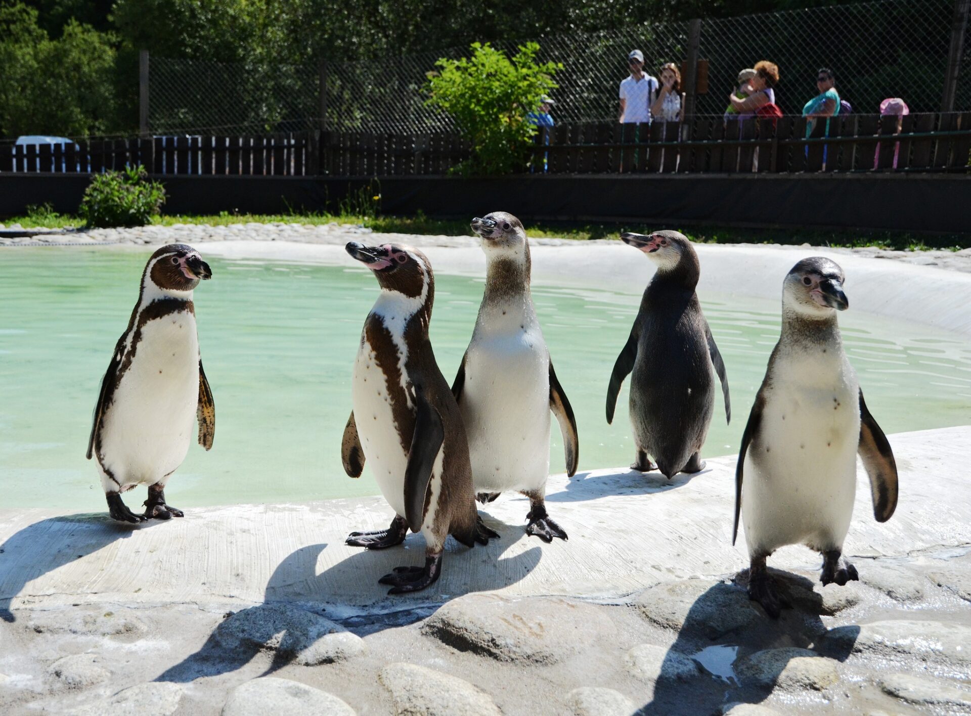 META/ZOO Košice