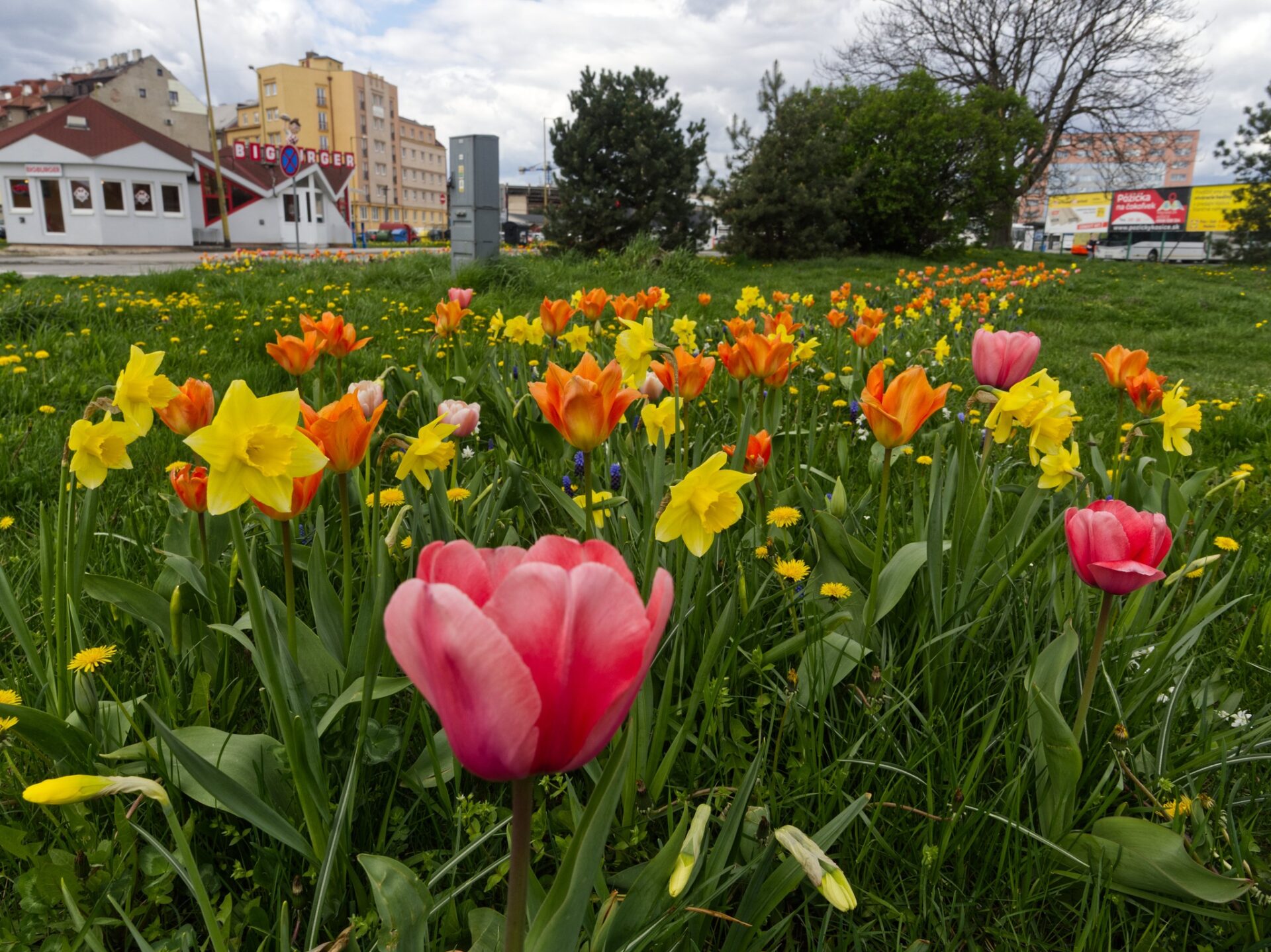 META/Košice-Mesto Košice