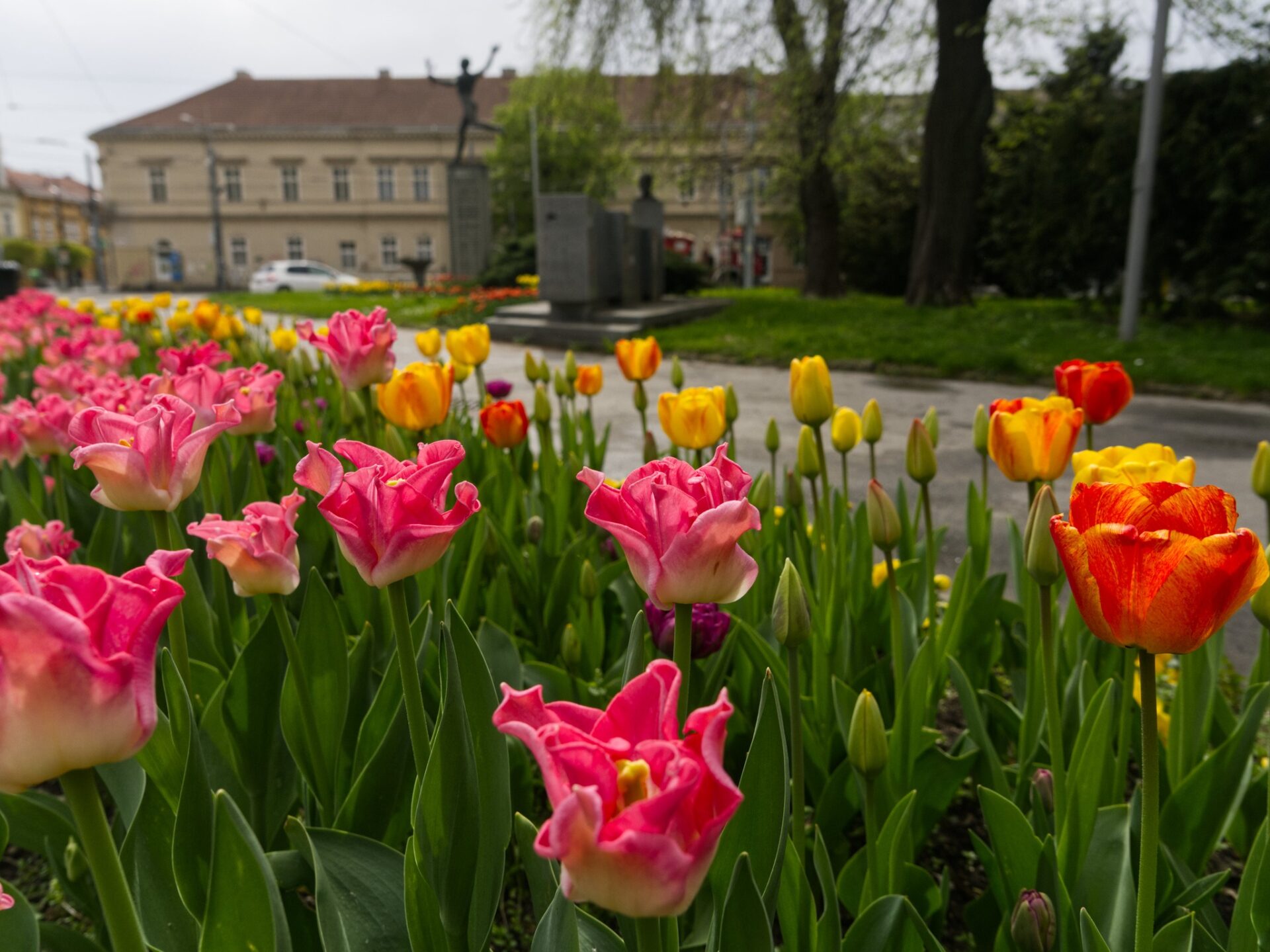 META/Košice-Mesto Košice