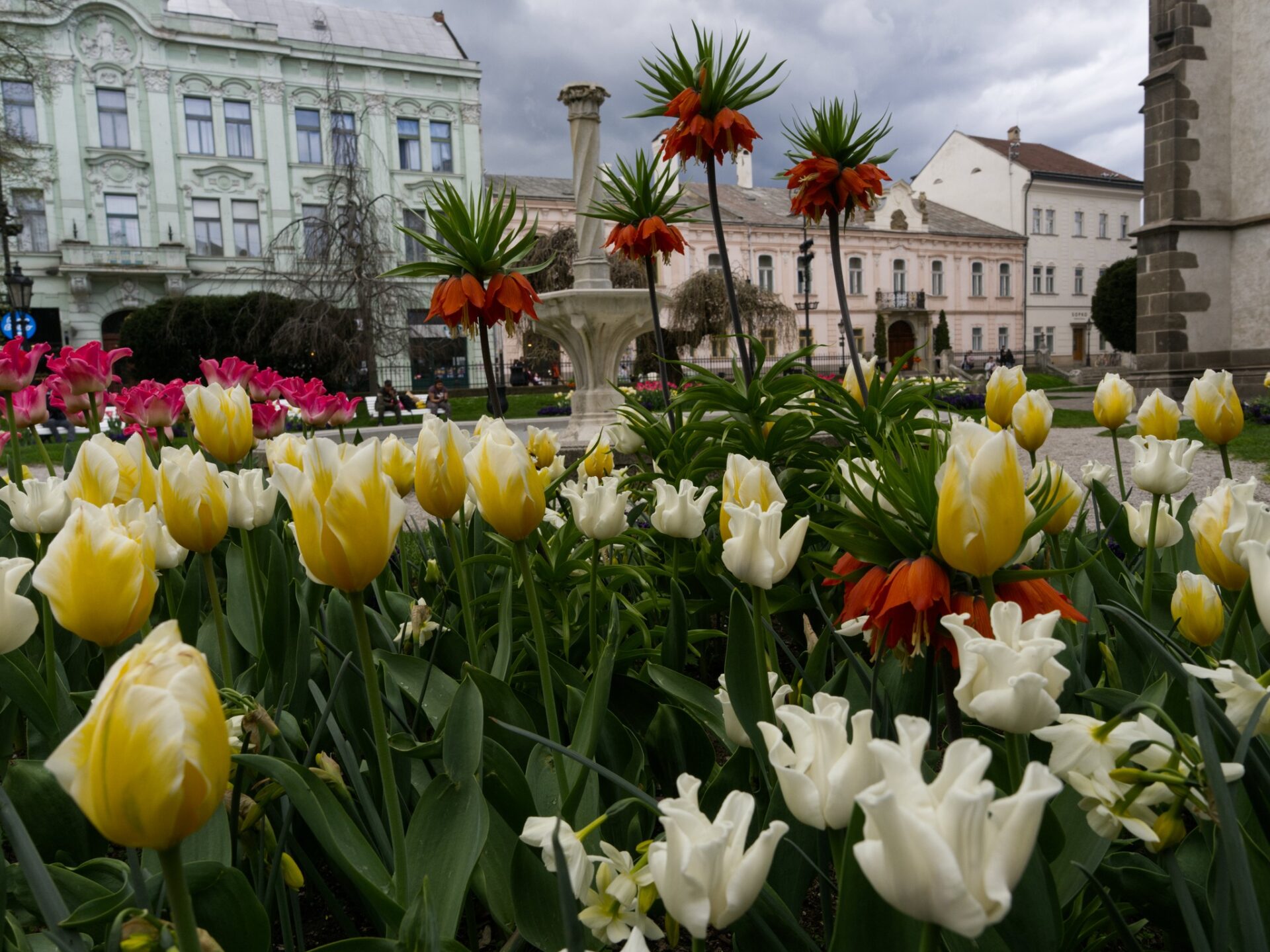 META/Košice-Mesto Košice