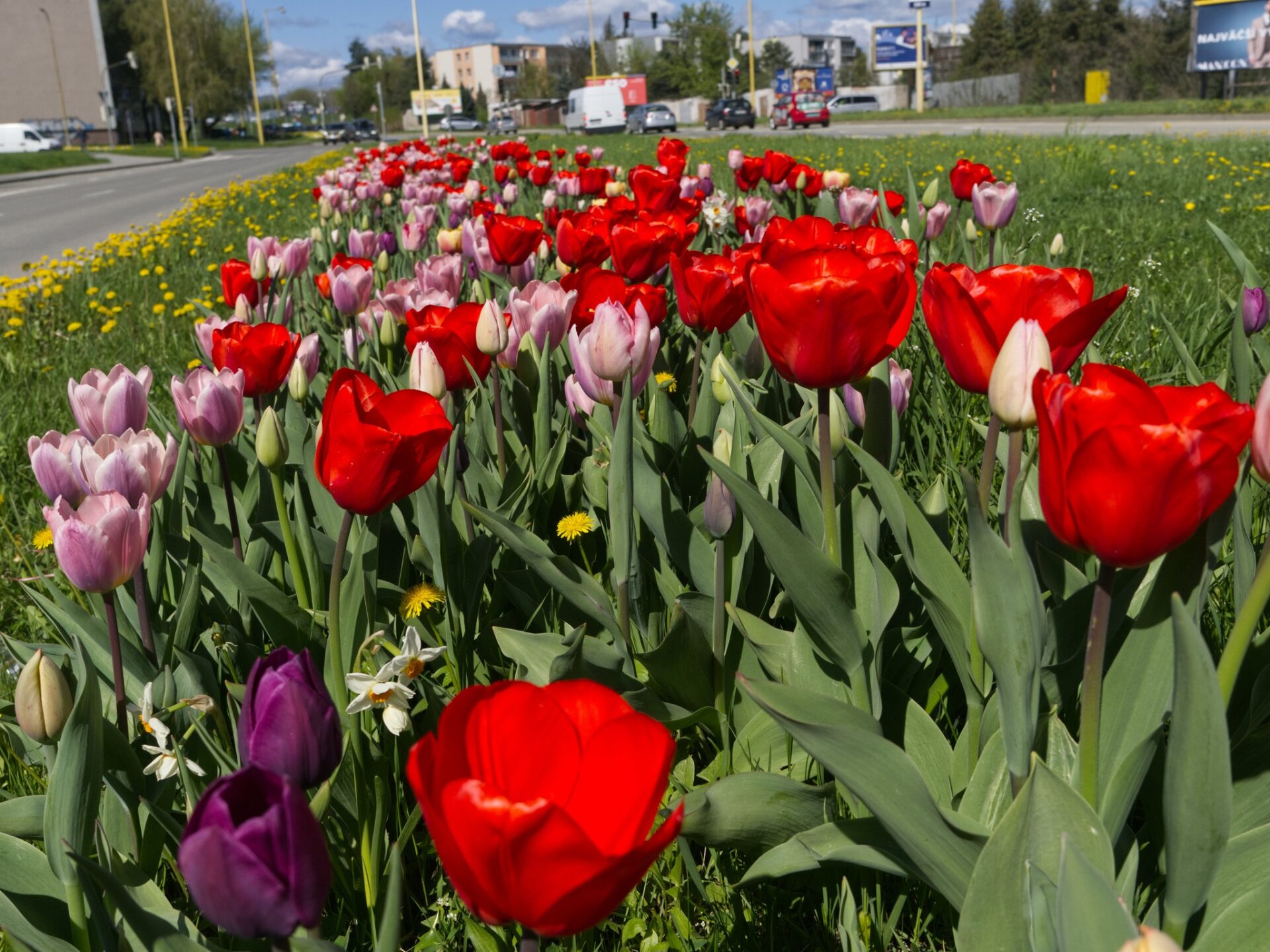 META/Košice-Mesto Košice